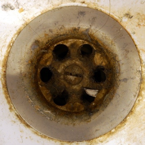 clogged drain