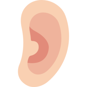 ear
