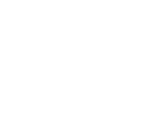 BNI Business Network International member badge