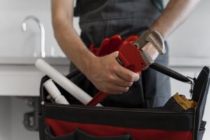 Plumbing expert with wrench icon
